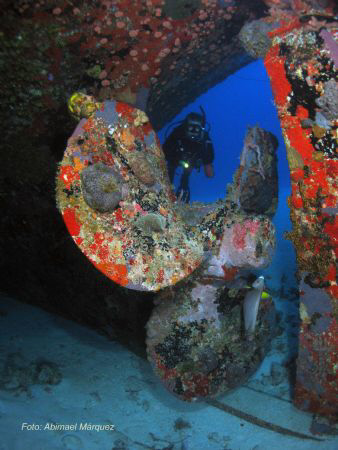 Evelio, Butler Bay Wrecks side, St. Croix. by Abimael Márquez 