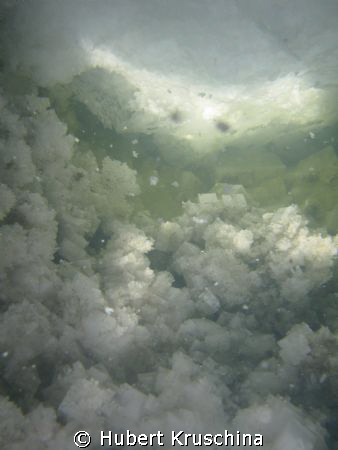 Well actually it was not taken by scuba diving but it is ... by Hubert Kruschina 