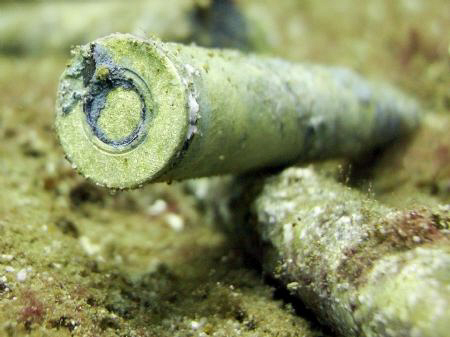 on board a Truk Lagoon Wreck. Casio Exilim ex z100 by Andrew Macleod 