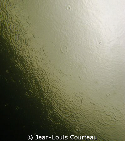 "Dark Side Of The Moon"   
Raindrops seen from the under... by Jean-Louis Courteau 