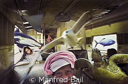 Borneo, in the train from Tenom to Beauford i had a dream... by Manfred Bail 
