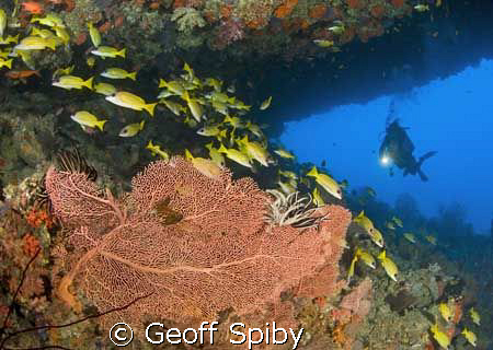 Maldives cave scene by Geoff Spiby 