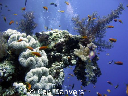 Rush Hour by Carl Danvers 