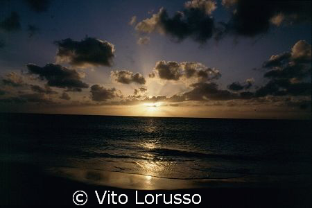 Mexico - Playa del Carmen by Vito Lorusso 