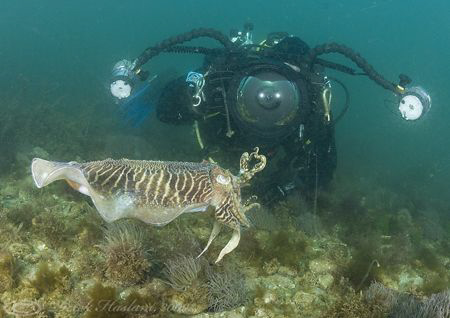 Mr T with cuttlefish. Babbacombe. D200, 16mm. by Derek Haslam 
