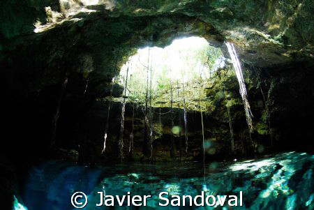 Cenote Sugar ball in Quintana Roo Mexico same cave sistem... by Javier Sandoval 