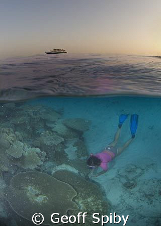snorkelling in the evening with the liveaboard Oceandance... by Geoff Spiby 