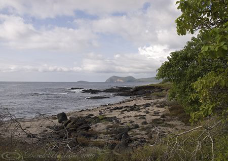 Sullivan bay. Santiago. Galapagos. S5PRO, 18-200mm. by Derek Haslam 