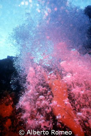 MANY, MANY, MANY  RED BUBBLES OVERSPREAD THE MODEL.
NOT ... by Alberto Romeo 