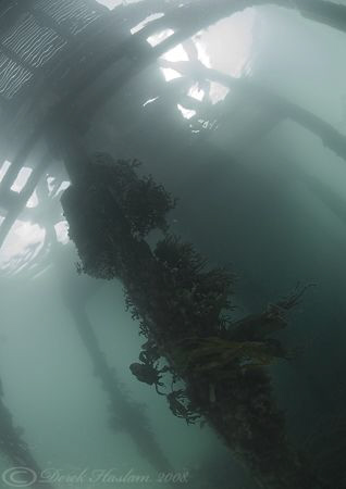 Under the pier. Trefor. North Wales. D200, 10.5mm. by Derek Haslam 