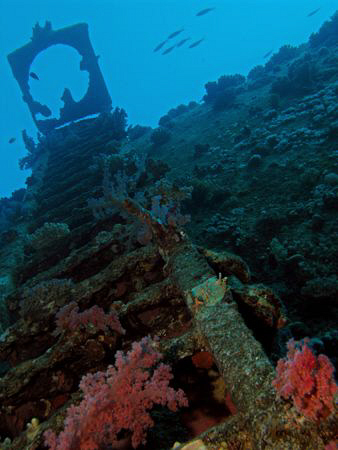 Giannis D at Abu Nuhas - taken with Canon G9 and Ikelite ... by James Dawson 