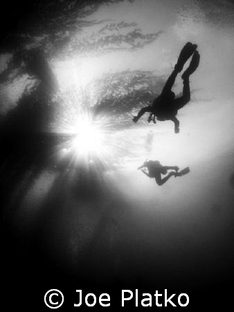 we had an amazing day at monastery beach today, with vis ... by Joe Platko 