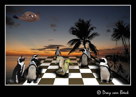 Chess II. Battle of the horses. by Dray Van Beeck 