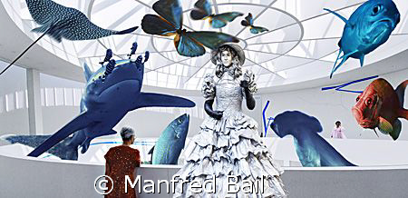 some animals in the Pinakothek der Moderne in muc bavaria by Manfred Bail 