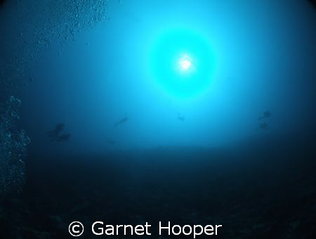 Divers in the sun...! Fantastic vis at Sipadan...
Taken ... by Garnet Hooper 