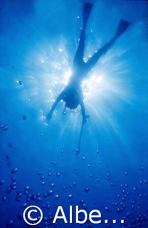 Spearfishing freediver girl in the sun backlight with bub... by Alberto Romeo 