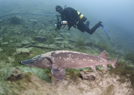 Mark with Sturgeon. Capernwray. by Derek Haslam 