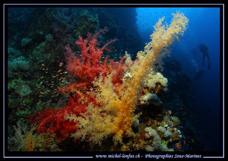 Helllllo  - back from my holidays... :O) Beautiful time i... by Michel Lonfat 