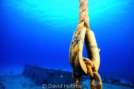 This shot was taken during my first ever underwater photo... by David Hoffman 