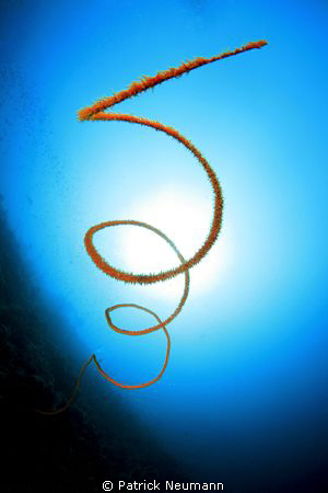 it s 5 to 12 ... !!! ;-) by Patrick Neumann 