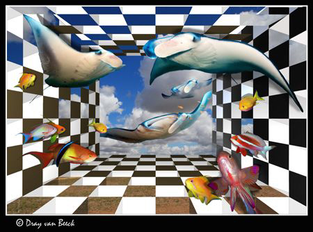 Chess V; The final frontier... by Dray Van Beeck 