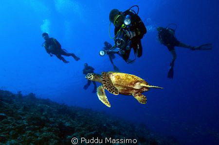 nikon d2x 12-24mm by Puddu Massimo 