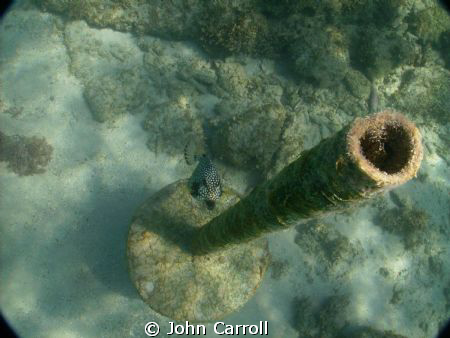Umm...I can still see you by John Carroll 