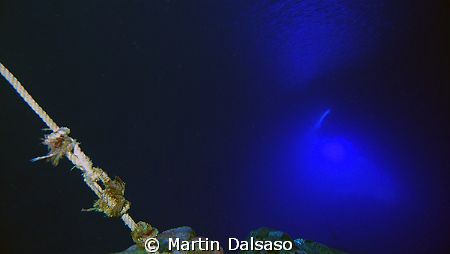 Saipan Grotto - Exit rope inside, looking toward the left... by Martin Dalsaso 