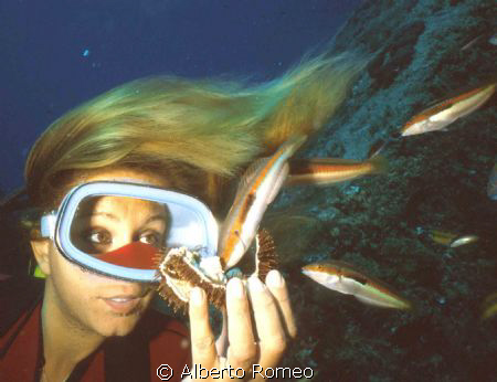 Girldiver and mediterranean wrasses (Coris julis male). S... by Alberto Romeo 