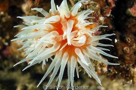 taken ar khor fakkan at the weekend using Nikon D70s with... by Simon Gardener 