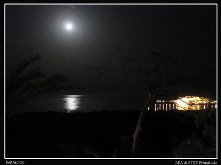Full moon. Canon Ixus 980. by Bea & Stef Primatesta 