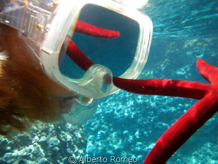 Reflexion.
Nikon coolpix 5000+Sea%Sea housing. Natural l... by Alberto Romeo 