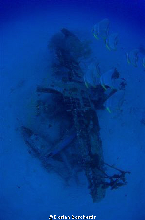 The Deep Pete with Bat fish.This is a  Mitsubishi F1M2 Fl... by Dorian Borcherds 