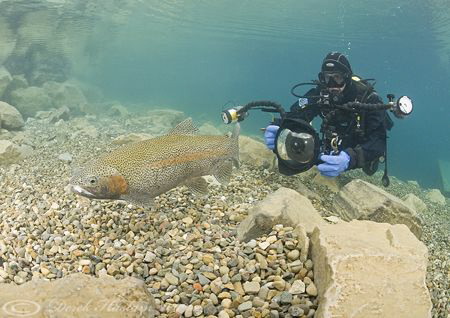 Trout spawning. Capenwray. D200, 10.5mm. by Derek Haslam 