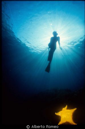 " Backlight Marmaid  with yellow fishstar ". 
Nikonos 15... by Alberto Romeo 