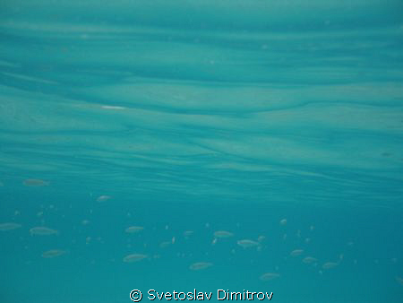 Right beneath the suface II by Svetoslav Dimitrov 