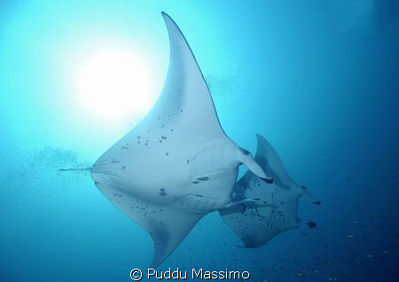 mother and son,Nikon d2x 12-24mm by Puddu Massimo 