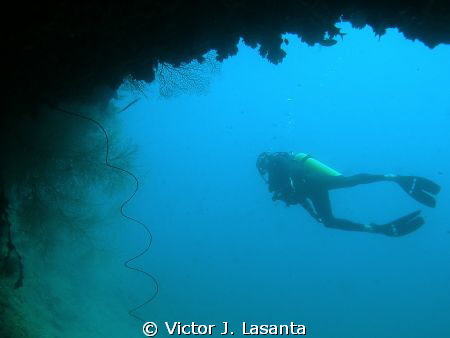 Coming out of La Nariz Cave Dive site in Mayaquez area at... by Victor J. Lasanta 