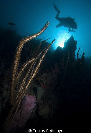 Wall at Duppy Waters, Utila in the morning, Christine in ... by Tobias Reitmayr 