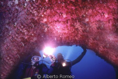 A very rare cave with the ceiling full of  Red Coral (Cor... by Alberto Romeo 