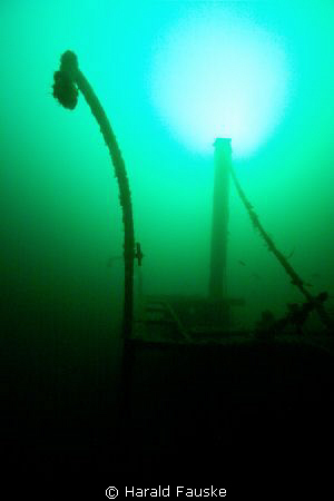 School of saithe at 60m in voldafjorden by Harald Fauske 