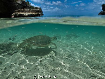 Wow...what a caribbean beauty !!!
I was on my way to div... by Dave Benz 