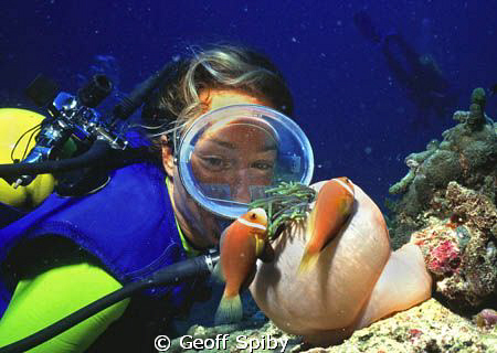 watching the clownfish by Geoff Spiby 