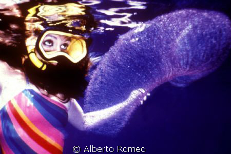 A very rare meeting: Floating Eggs of Giant Squid  (Thysa... by Alberto Romeo 