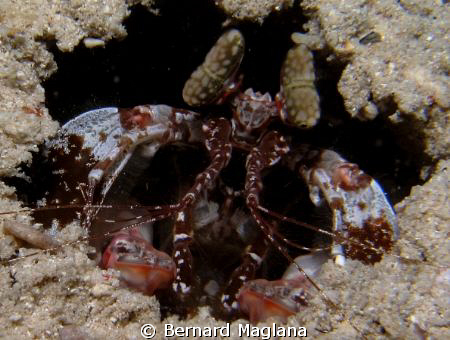 Babusanta, Talikud Island, Davao City... by Bernard Maglana 