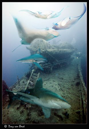 The Thistlegorm on a good day. by Dray Van Beeck 