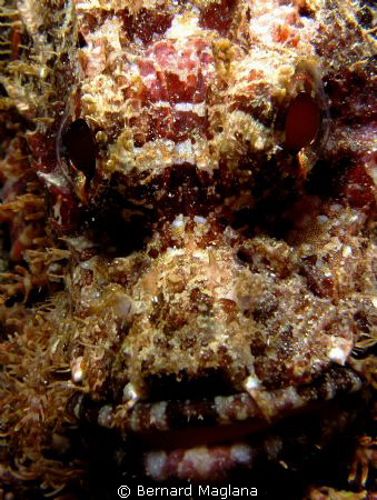 My first image of Tinoto Wall....... by Bernard Maglana 