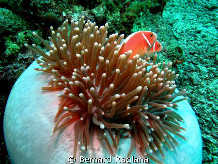 Tinoto Wall,Saranggani Province by Bernard Maglana 