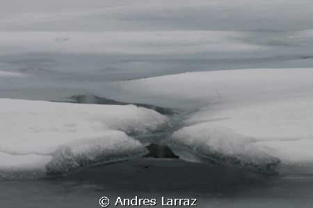 Canada, May 09 by Andres Larraz 