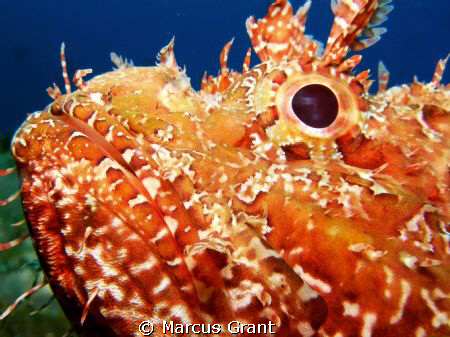 Shot taken at Cirkewwa Malta. by Marcus Grant 